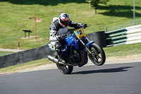 cadwell-no-limits-trackday;cadwell-park;cadwell-park-photographs;cadwell-trackday-photographs;enduro-digital-images;event-digital-images;eventdigitalimages;no-limits-trackdays;peter-wileman-photography;racing-digital-images;trackday-digital-images;trackday-photos